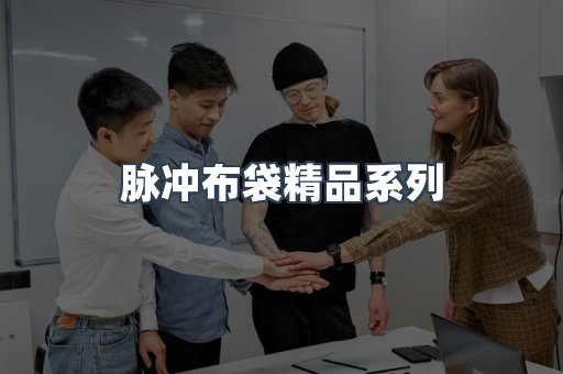 脉冲布袋精品系列